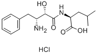 氨肽酶
